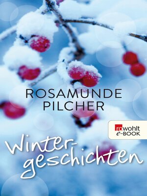 cover image of Wintergeschichten